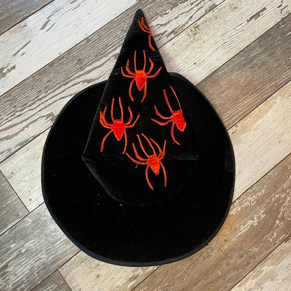Halloween Spider Witch Black Pointy Hat